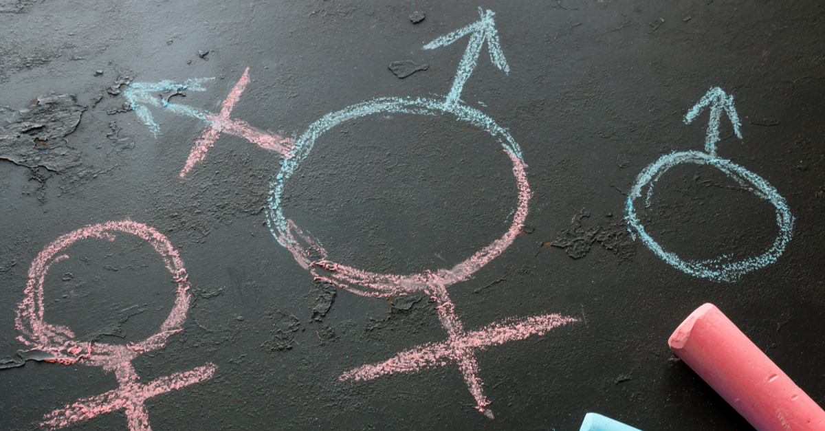 Chalk drawing of a female symbol in pink, a male symbol in blue, and a transgender symbol in blue and pink.